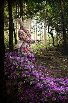 湖畔阴影采集到克里斯蒂·米切尔(Kirsty Mitchell)，英国摄影师