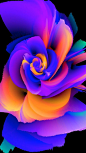(467) Pinterest