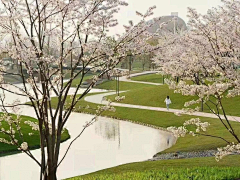 白一点bbi采集到空间/城市公园