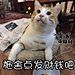 雪冬食肉而猪居