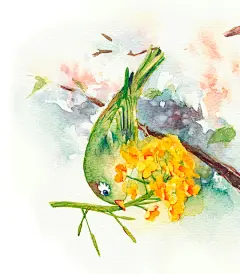 日本插画家 。Megumi Shimizu - 志水恵美
#插画##萌萌哒##兔子##动物插画##治愈##可爱##水彩#