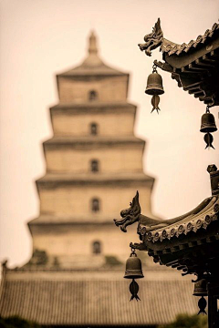 烟容采集到中国古建筑