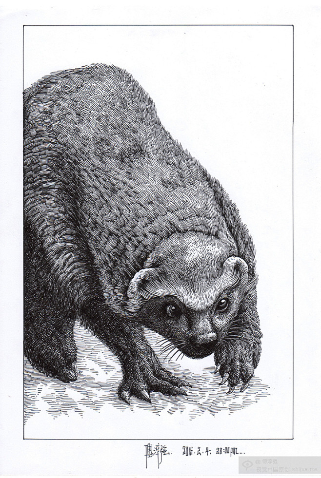 蜜獾手绘图