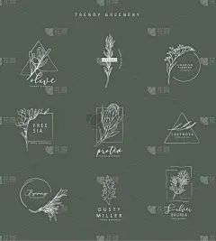 floral logo and branch hand drawn wedding herb