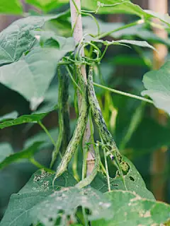 @王梓天 的个人主页 - 微博