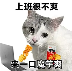 猫猫上班表情包 (3)