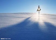 太阳光_360图片