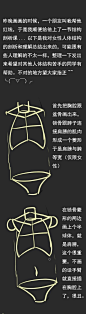 女体结构教学，包括女性的胸、腰、大腿等关键的部位分析~（画师：童谣幻 ） ​​​​