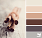 Design Seeds® | find your palette