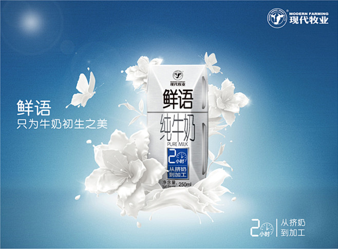 【现代牧业十二连包】【京东超市】现代牧业...