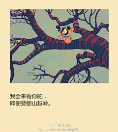 泡面e族采集到新闻