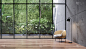 空玻璃房间与热带绿色植物墙背景3d渲染