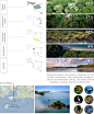 2010ASLA景观专业奖{28}规划与分析荣誉奖：伊斯拉帕伦克 Isla Palenque - 谷德设计网