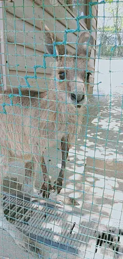 不讲道理的