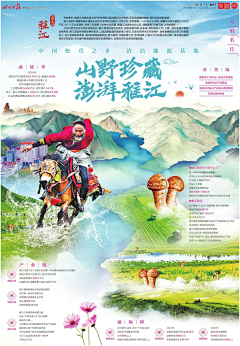 王兀采集到报纸设计