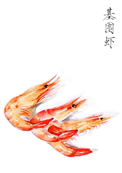 sunnysunnnysun采集到painter