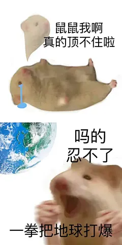鼠鼠表情包