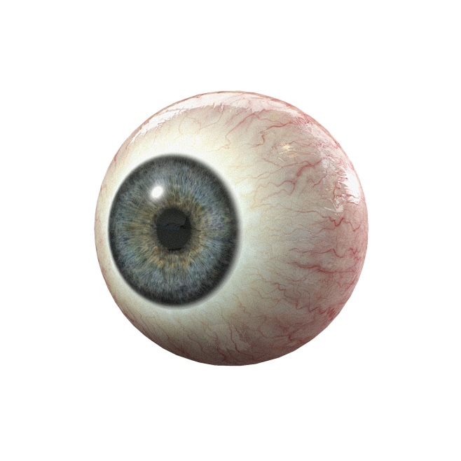 PNG (18)