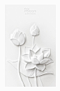 55a9c706ee39647fee7a0756fca73469 White Paper Flowers by Wirin Chaowana.