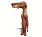 Dog caricture irish setter, Stefan Hansson : Dog caricture irish setter