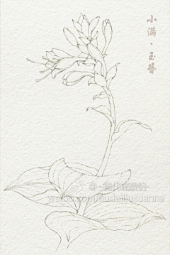 哐当采集到线稿