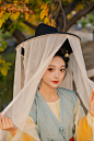 ✨纪录一下圆明园白蜡树黄叶全盛期～ - 小红书
