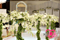 时尚的婚礼花朵路引 - 时尚的婚礼花朵路引婚纱照欣赏