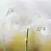 还原紫