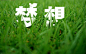 PS快速制作草丛里的文字 - 文字效果 - 飞特(FEVTE)