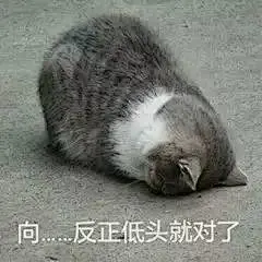 表情包 (3239)