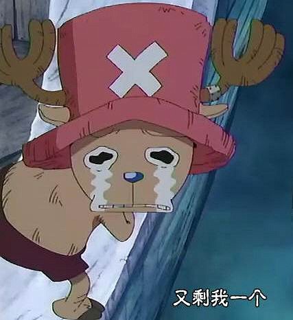乔巴