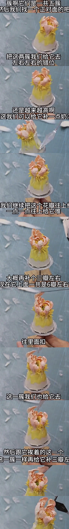 喵(=^･ｪ･^=)~采集到笔记 韩式裱花