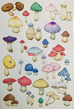 多彩蘑菇 水彩画 (1)