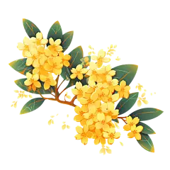 中秋节手绘桂花枝叶30