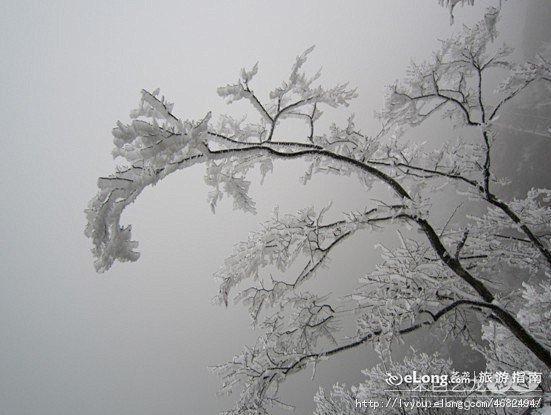 雪色天门 雾凇花开,张家界, 寂泠雨旅游...