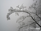 雪色天门 雾凇花开,张家界, 寂泠雨旅游攻略