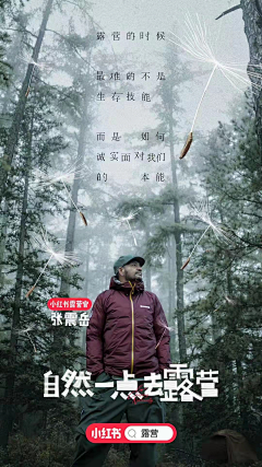 创意文案采集到感慨走心