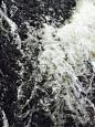 (5) Tumblr