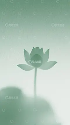 简约荷花插画