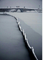 #花瓣爱旅行#杭州大雪，断桥残雪～
