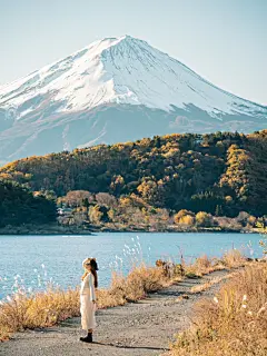 走进漫画壁纸里的富士山河口湖枫叶红了 - 小红书