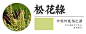 【松绿】
无比纠结的一个颜色，所有的古文记录都是服饰，没有对染色工艺的说明或者形容颜色特点的描写，导致此色众说纷纭，主要观点分为三种：松叶的颜色；绿松石的颜色；松花的颜色。
绿松石得名于外形和颜色都近似松球，但实际上真没觉得颜色像...绿色植物一般不是正绿就是绿偏黄，而松石是蓝绿色。
松花的一生由绿变黄，这里应指初生的松花，是嫩黄绿色。
目前有些汉服也用了松花绿这个色名，但是颜色感觉都是松叶绿。松叶、松花、松石这三个颜色实在是拼不在一起，我还是觉得分开比较好。