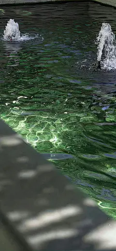 热门 - 热门微博 - 微博