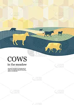 农业,母牛,背景,小册子,圆形,彩妆,几何形状,传单,有机农庄,模板
