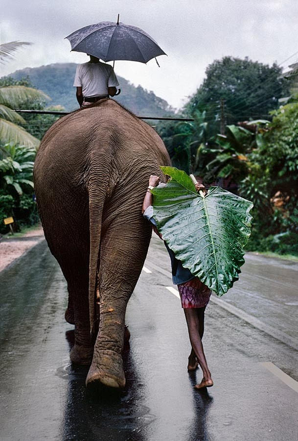 马格南摄影大师Steve McCurry...