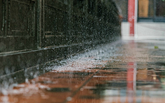 懵水采集到雨