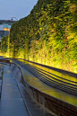 伦敦Westfield购物中心绿色生活墙商业内街 Living Wall at Westfield Shopping Centre by AECOM-mooool设计