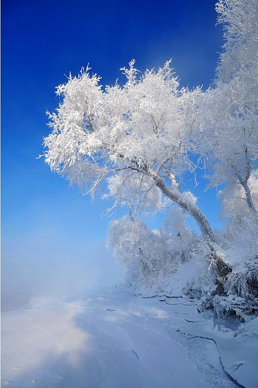 【图】这里是雪的世界，冰的乐园，雾的幻境...