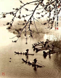 【水墨意境】一叶小舟渔人立，执篙水上画中行。#水墨#  #寻根文化太美# #微信公众号  致中文化# 