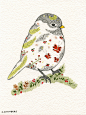 Original Drawing - Chickadee Bird 5.5  x 7.5 on 300lb Paper
